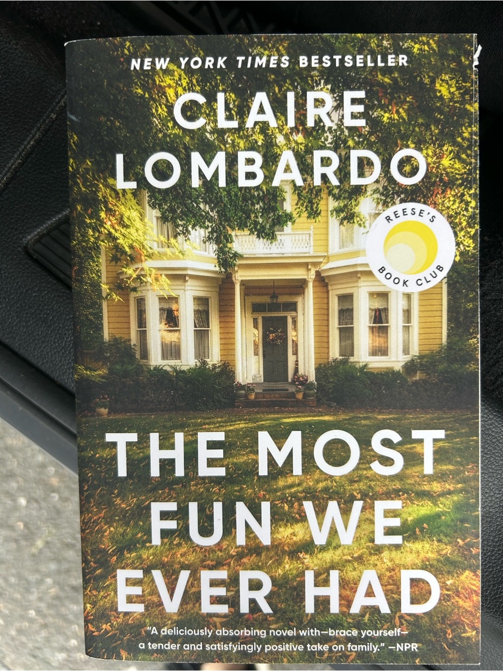 The Most Fun We Ever Had PB Book